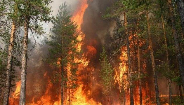 Протягом тижня в Україні внаслідок військових дій було знищено 341 гектар лісових угідь.