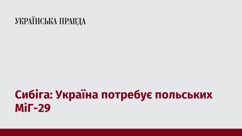 Сибіга: Україні необхідні польські МіГ-29.