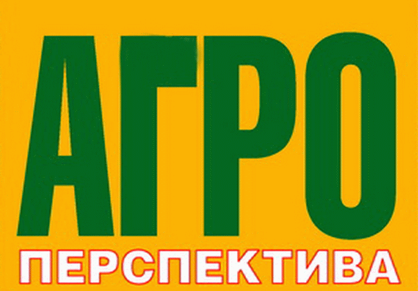 Згідно з заявою Шмигаля, доходи від заморожених активів Російської Федерації будуть спрямовані на вирішення найактуальніших фінансових потреб України у 2025 році.