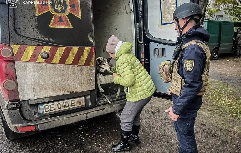 У Харківській області проводять евакуацію Борової та прилеглих сіл.